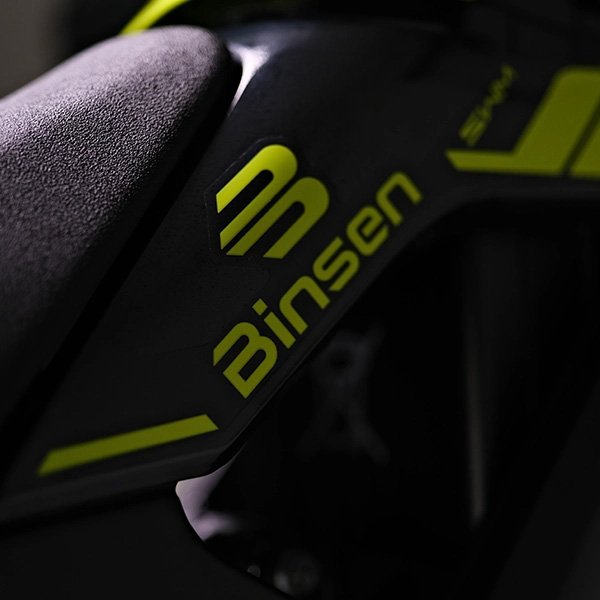Binsen 3