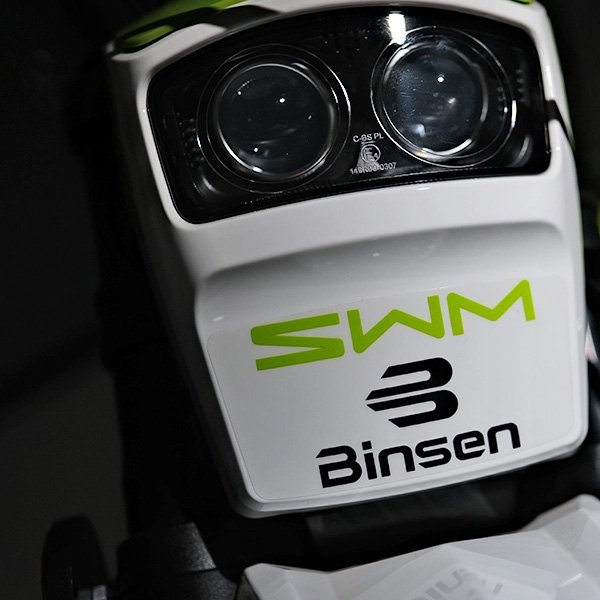 Binsen 6